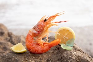 Lees meer over het artikel Aliquet et iaculis et viverra vitae ligula