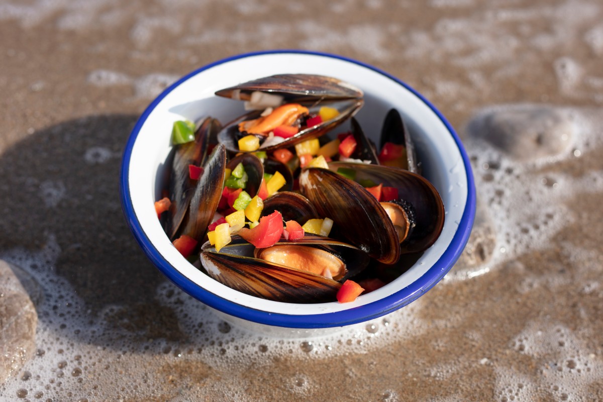 Lees meer over het artikel Vestibulum ante ipsum primis